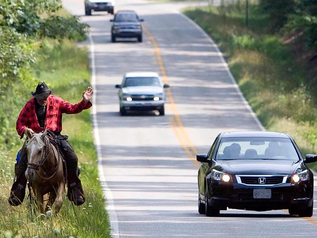 I believe I should change my horse by one of these